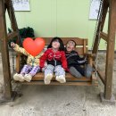 경북 칠곡 캠핑장 행화촌자연테마파크 캠핑장 (네이처하이크12.0/네이처하이크17.2)