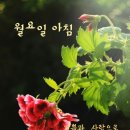 주무시5 이미지
