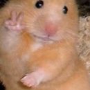 (주)코드아티스트 이미지