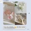 소이디플라워