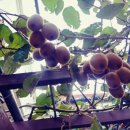 컬러민박 이미지