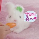 츄츄월드