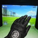 더탑 스크린 골프존 이미지