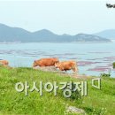 억대축산 이미지