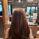 헤어똑닥 이미지