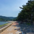 두곡해수욕장 이미지