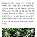 눈개승마(삼나물) 이미지