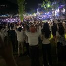 세진카 서비스 | 힘들듀아아ㅏㅏ