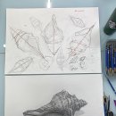 소라미술학원