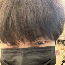 오월의꿈