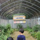 나비부화장 이미지