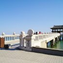 포항시북구93 이미지