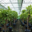 영신농원 이미지