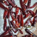 어제 마트에서 민생지원금 쓸수 있어 기분좋게. 고추를 샀어요 이미지