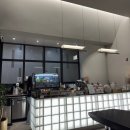 플라세르 이미지