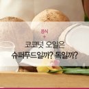 푸드독 이미지