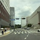 (주)올리브키친푸드 | 코스트코 7월 신상 추천템 하남점 주말 주차 꿀팁 충무김밥 할인 가격 후기