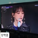 콩모니터링 이미지