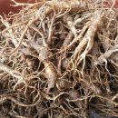 솔잎아래 이미지