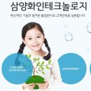 화인전자