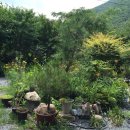 마음애고향 이미지