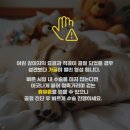 요골 | 강아지 안고 있다 떨어졌어요, 낙상사고 앞다리 요골척골 골절 수술