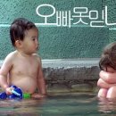 개와 고양이 이미지