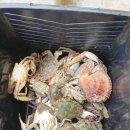 태안스테이션 이미지