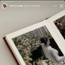 담필름 이미지