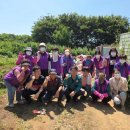 희망노인복지센터 이미지