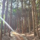 금곡사(외) 네이버블로그