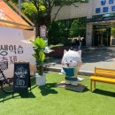 현무체육공원 | 2024 양천 Y교육박람회 내년도 기대되는 후기 볼거리 즐길거리 많음