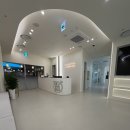 세화치과의원 | 수원 치과 추천 서울하루치과 내돈내산 임플란트 맛집 신경치료 명의사 솔직후기 타임빌라스