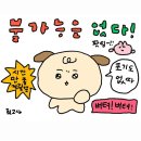 종로-신영-종로-영-195 | Mai 2024 👻