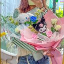 프롬니나 이미지