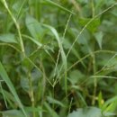 서부농약사 이미지