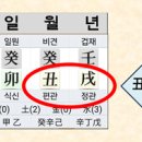 인덕 이미지