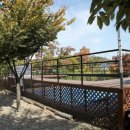 하늘연 캠핑장 이미지