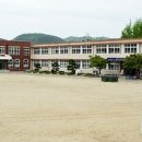길안2 Daum카페