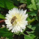 성원영농조합법인 이미지