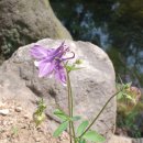 호텔 오월로 이미지