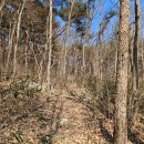 우산리마을회관 | [장흥] 가지산(509m) 보림사 최단 등산코스 고독한 산행을 원하신다면...