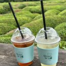 박경리 이야기쇼 이미지