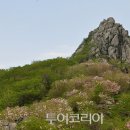 새소리물소리 이미지
