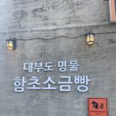 경기 안산 대부도 여행 : 대부도 카페 함초당 &amp; 알로하피크닉 먹어 본 후기