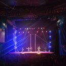 서커스빈 | [아이와 나들이] 대부도 동춘서커스 관람 솔직후기!!