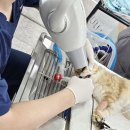 동물병원 감동 이미지