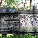 솔밭공원 이미지