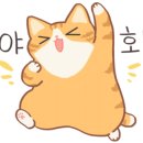 진선미황태마을 이미지