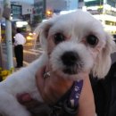 진해로약국 이미지